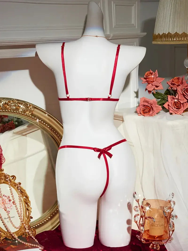 Sexy Lace Tights Lace Sexy Bodysuit Lingerie Set - Viomisha